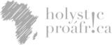 holystic-logo